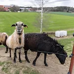 Landnest Lägenhet Prutting