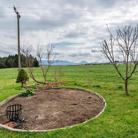 Landnest
