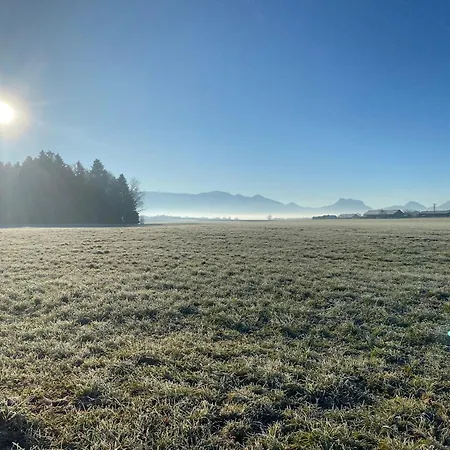 Lägenhet Landnest