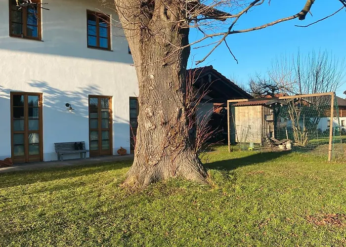 Landnest